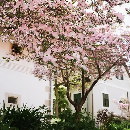 Appartamento Lexsimihof - Presshaus