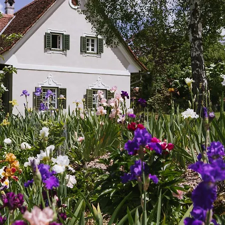 Lexsimihof - Presshaus Apartmán Wildon