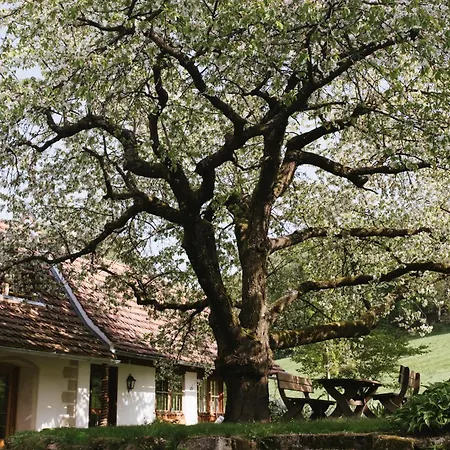 Lexsimihof - Presshaus Appartamento