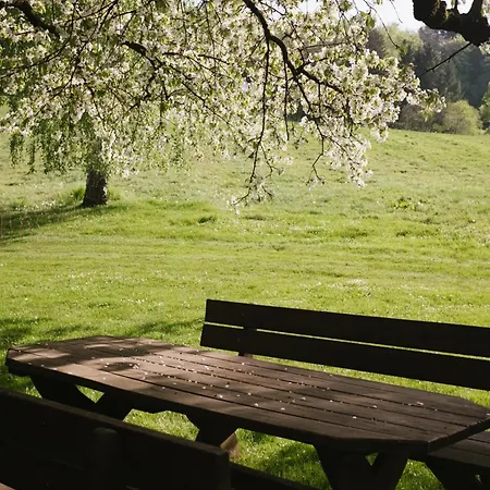 Lexsimihof - Presshaus Apartmán *