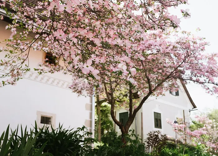 Apartment Lexsimihof - Presshaus