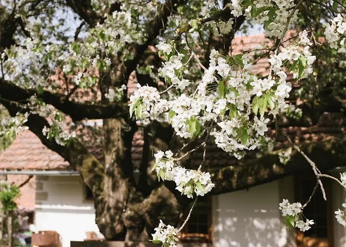 Lexsimihof - Presshaus Apartment *