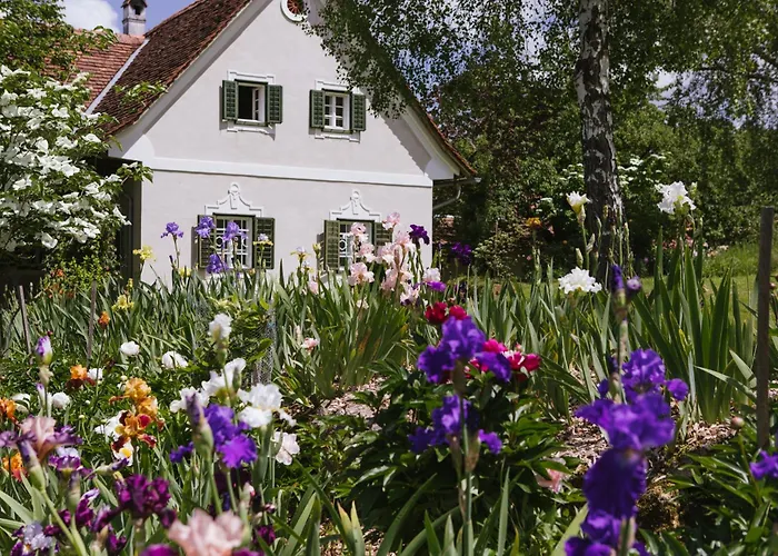 Lexsimihof - Presshaus Apartment Wildon