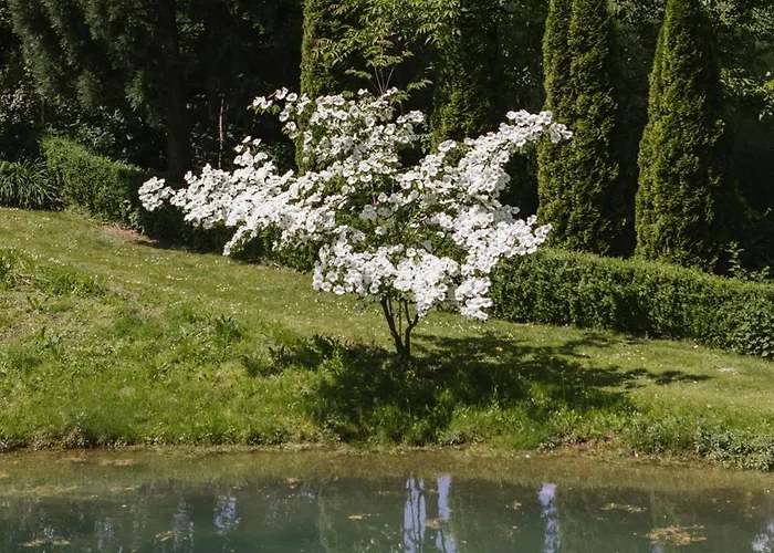 Lexsimihof - Presshaus Apartment *