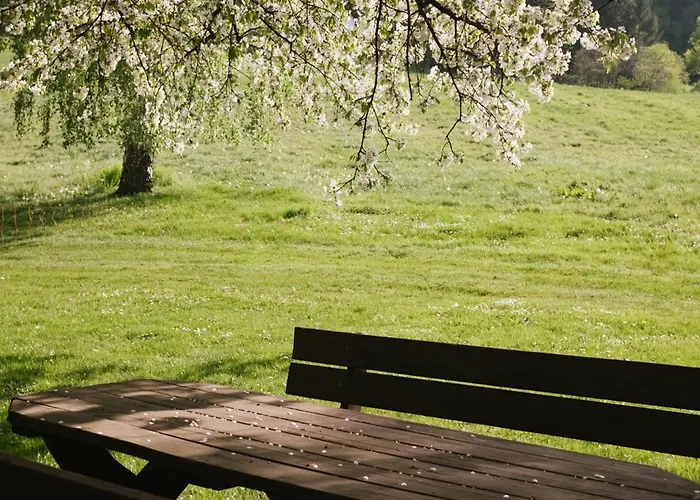 Lexsimihof - Presshaus Apartment *